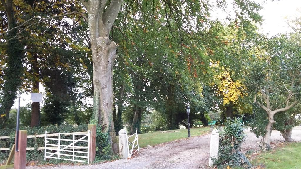 Rings Coach House Retreat Villa Carlow Buitenkant foto